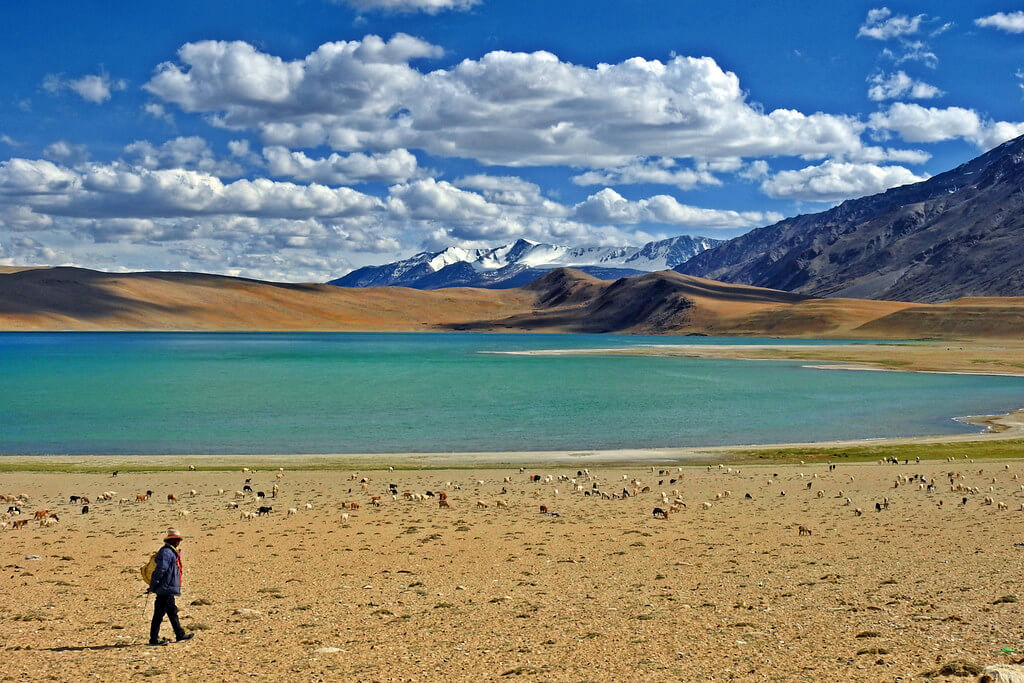 Tso Kiagar Lake, Ladakh