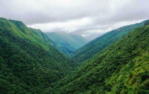 north-east-india-in-december