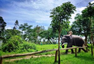 10 Best Things to do in Coorg