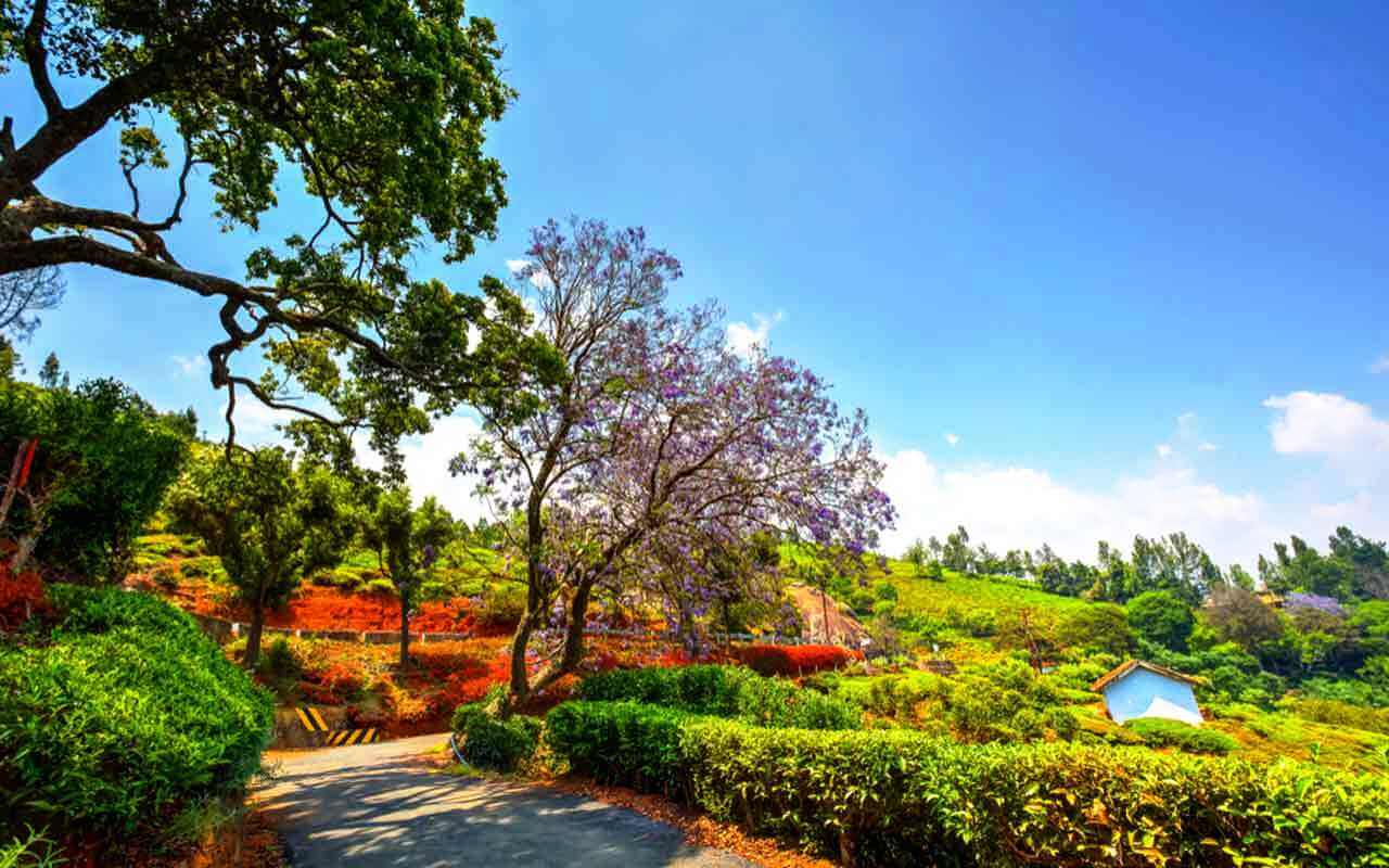 10 Best Places to Visit South India in March 2024 Tusk Travel Blog