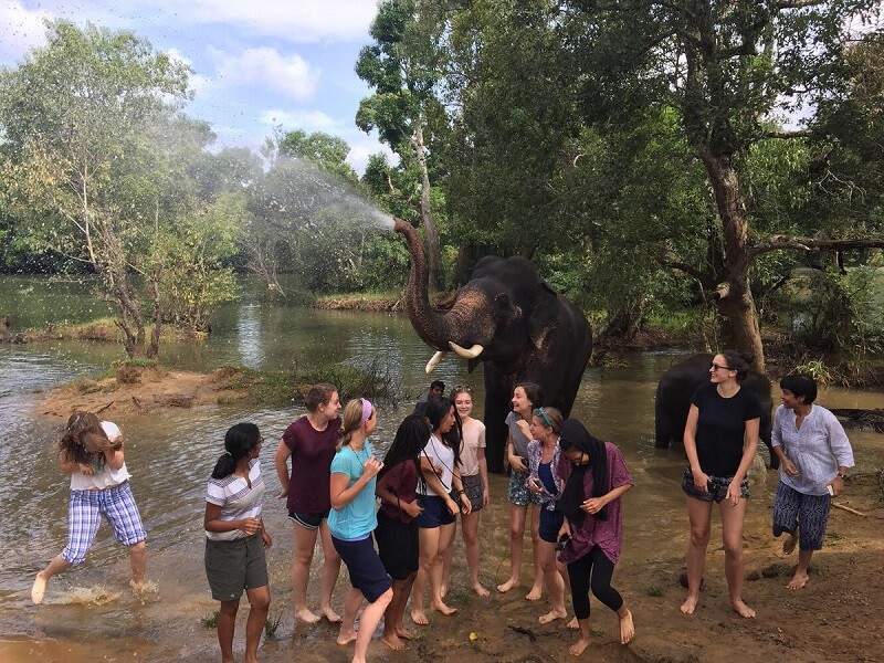 Dubare Elephant Camp, Coorg, Karnataka
