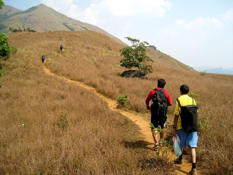 Kumara Parvatha Trekking in Coorg, Karnataka