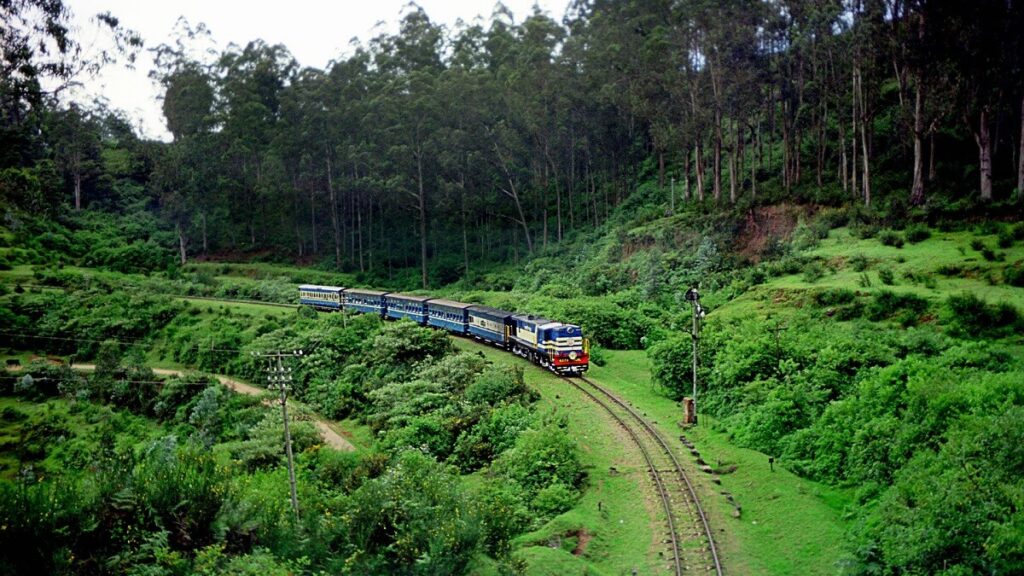 Nilgiri Mountain Toy Train Ooty