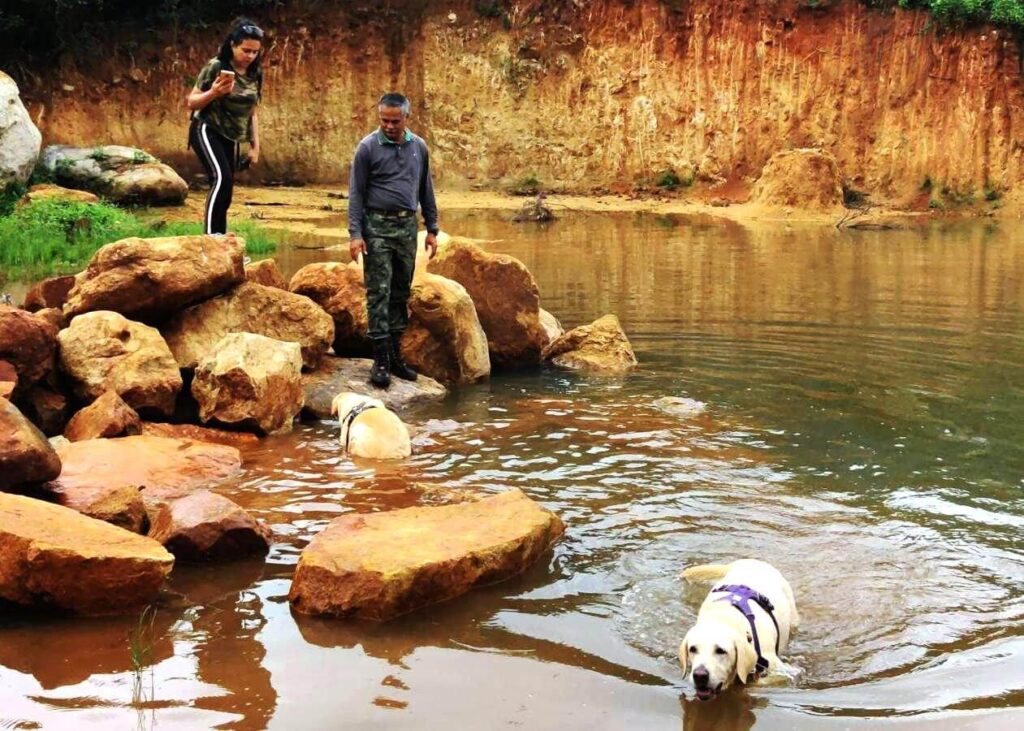 Pet-friendly hotels include water bowls, food dishes, outdoor areas for dog runs and playing. Some of the pet-friendly