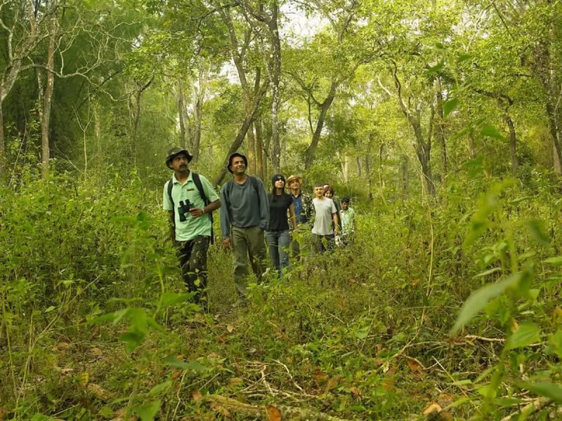 Plantation Walk, Coorg, Karnataka