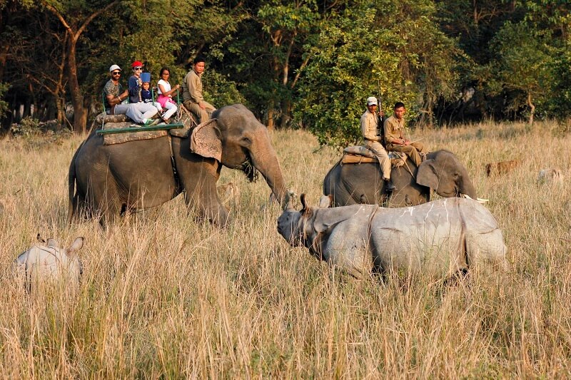 Pobitora Wildlife Sanctuary, Guwahati, Assam