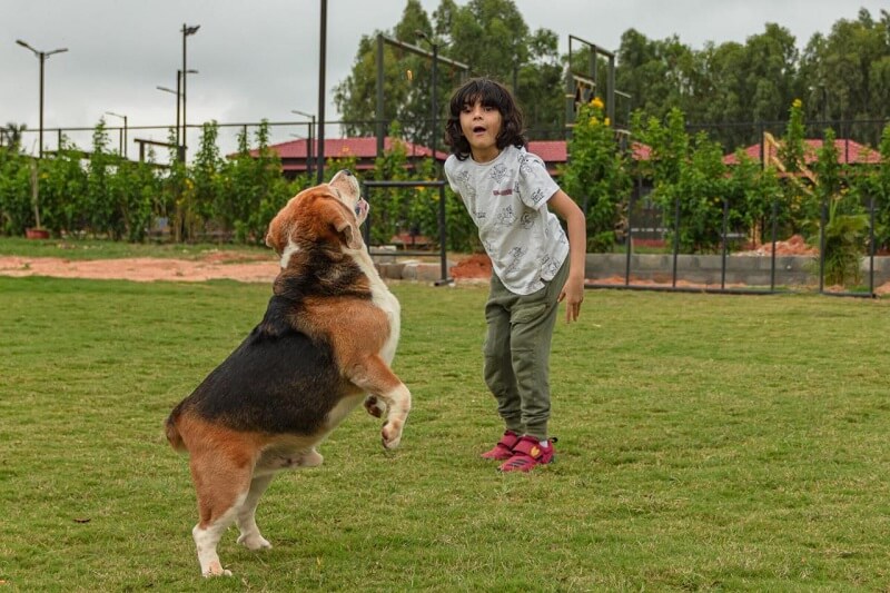 VAMA Retreats, Bangalore, Pet-friendly