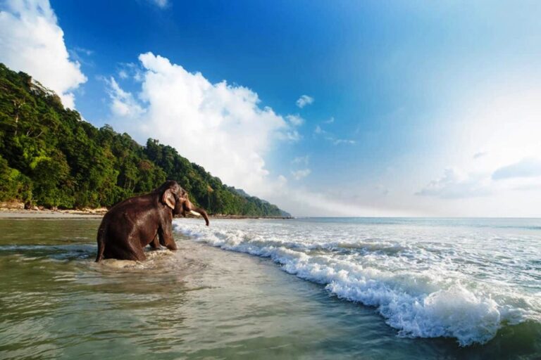 Andaman-and-Nicobar-Island
