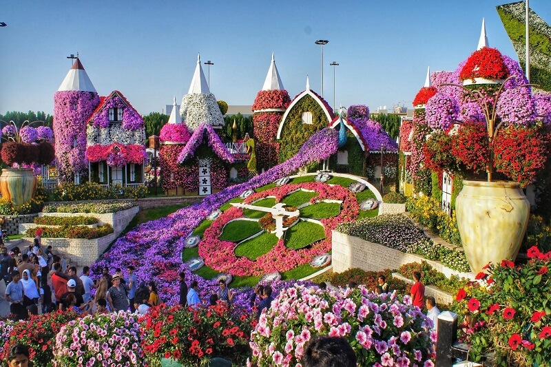 Dubai Miracle Garden, UAE