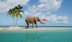 Elephant Beach, Havelock Island, Andaman