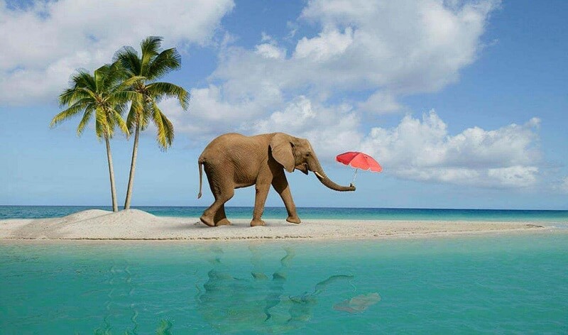Elephant Beach, Havelock Island, Andaman