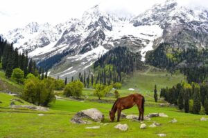 10 Best Places to Visit Kashmir in April 2026