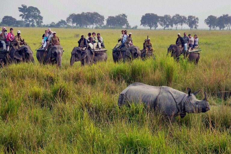 Kaziranga National Park, Assam