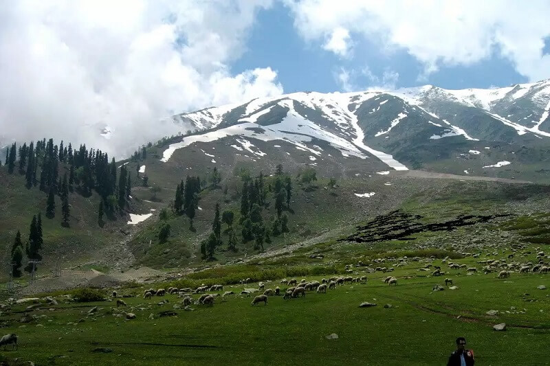 Khilanmarg, Gulmarg