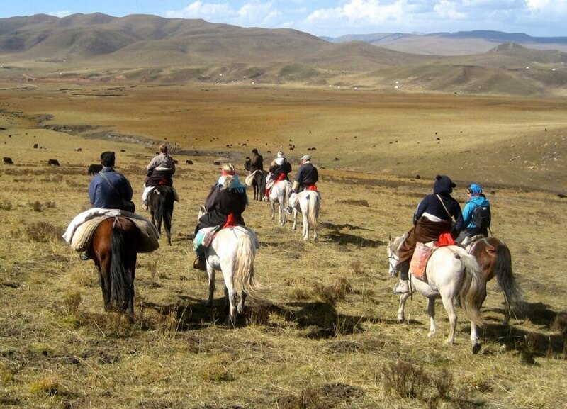 Ladakh Horse Riding
