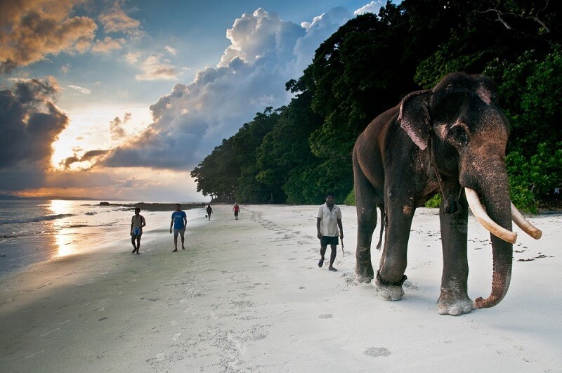 Radhanagar Beach, Havelock, Andaman