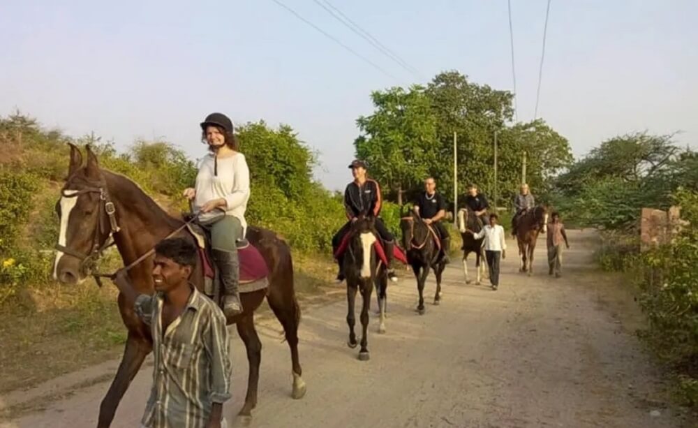 Ranakpur Horse Safari, Rajasthan