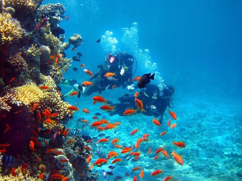 Scuba Diving in Sri Lanka