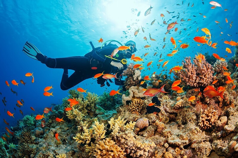 Suba Diving in Thailand