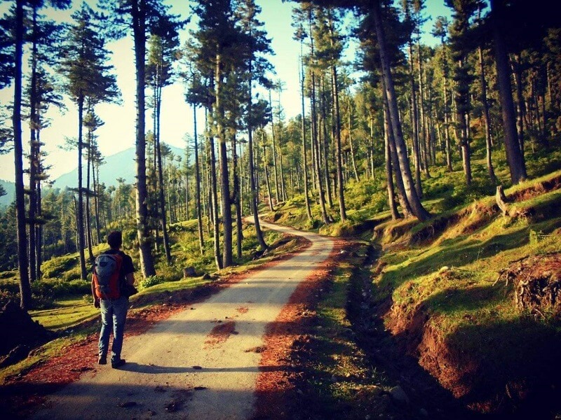 Tangmarg, Gulmarg, Jammu and Kashmir