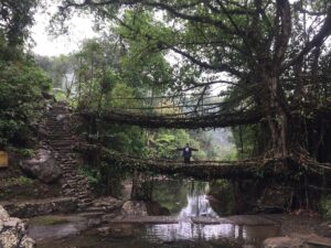 The living Roots Bridge Trek, Meghalaya