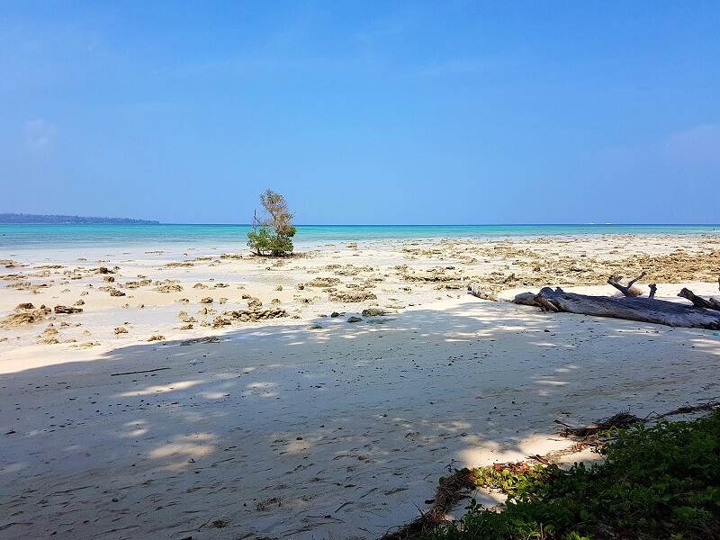 Vijay Nagar Beach, Havelock, Andaman