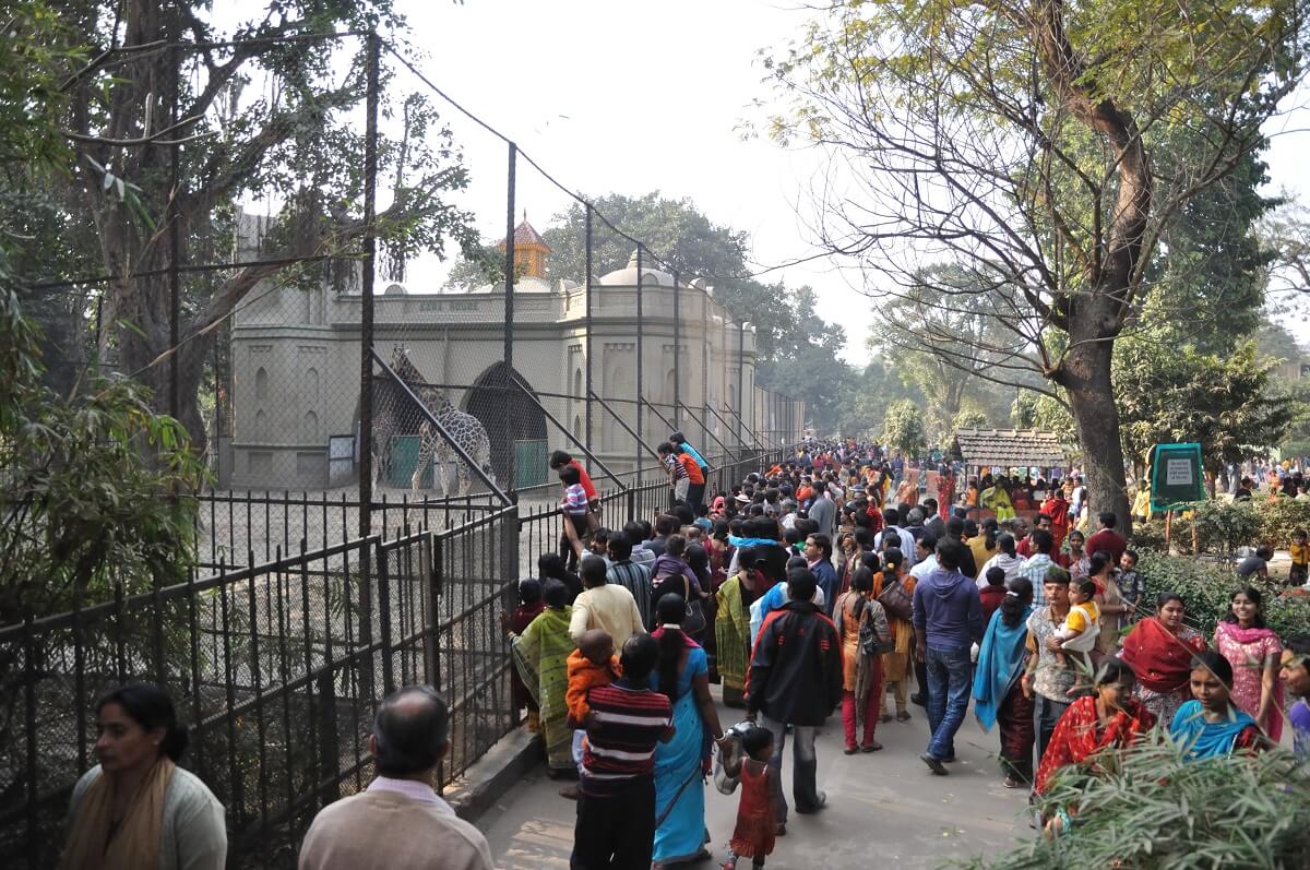Alipore Zoo, Kolkata, West Bengal