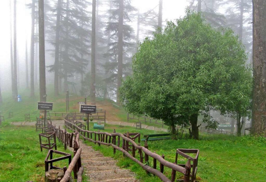 Dhanaulti Eco Park, Uttarakhand