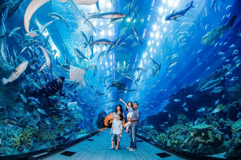 Dubai Aquarium and Underwater Zoo, UAE