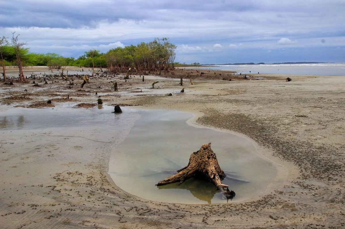 Henrys Island, Kolkata, West Bengal