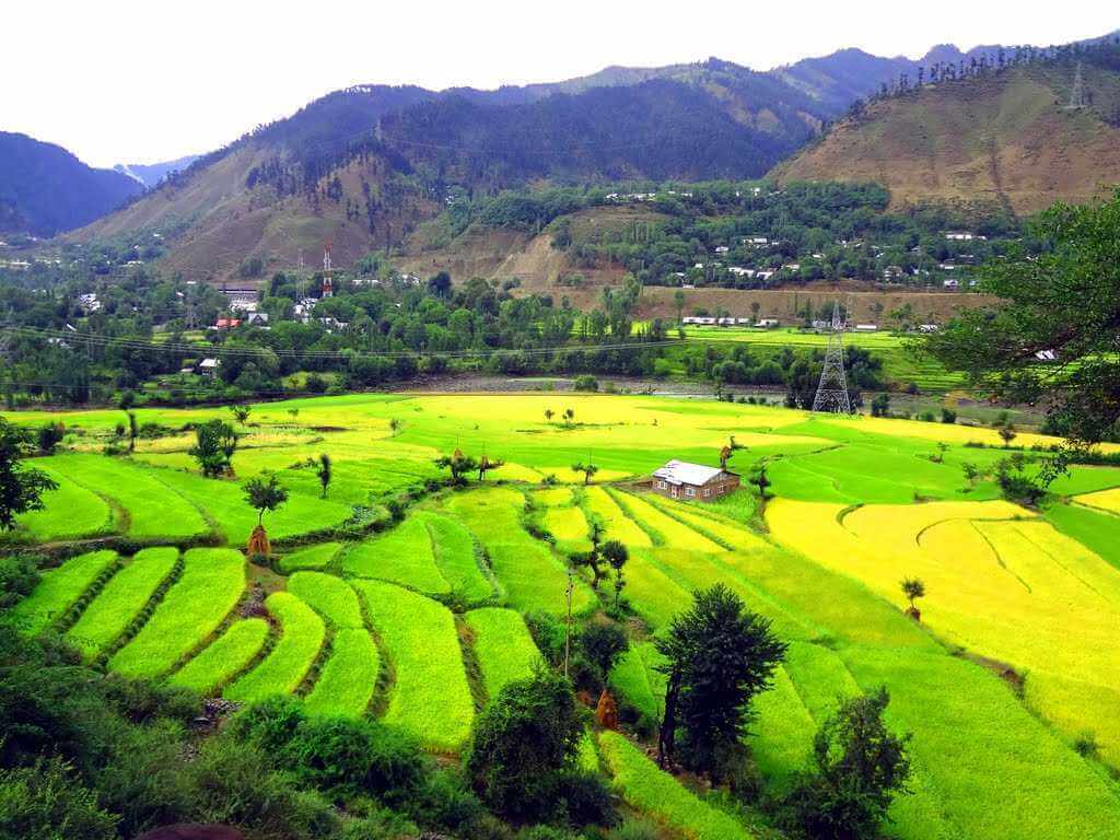 Honeymoon in Baramulla, Jammu and Kashmir