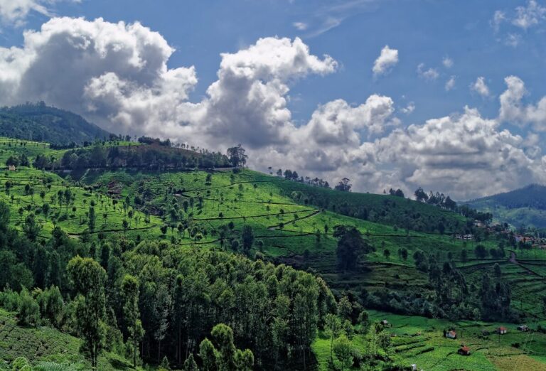 Kotagiri Nilgiris, Tamil Nadu