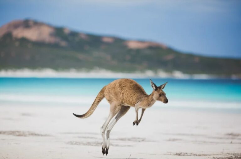 Australia-travel