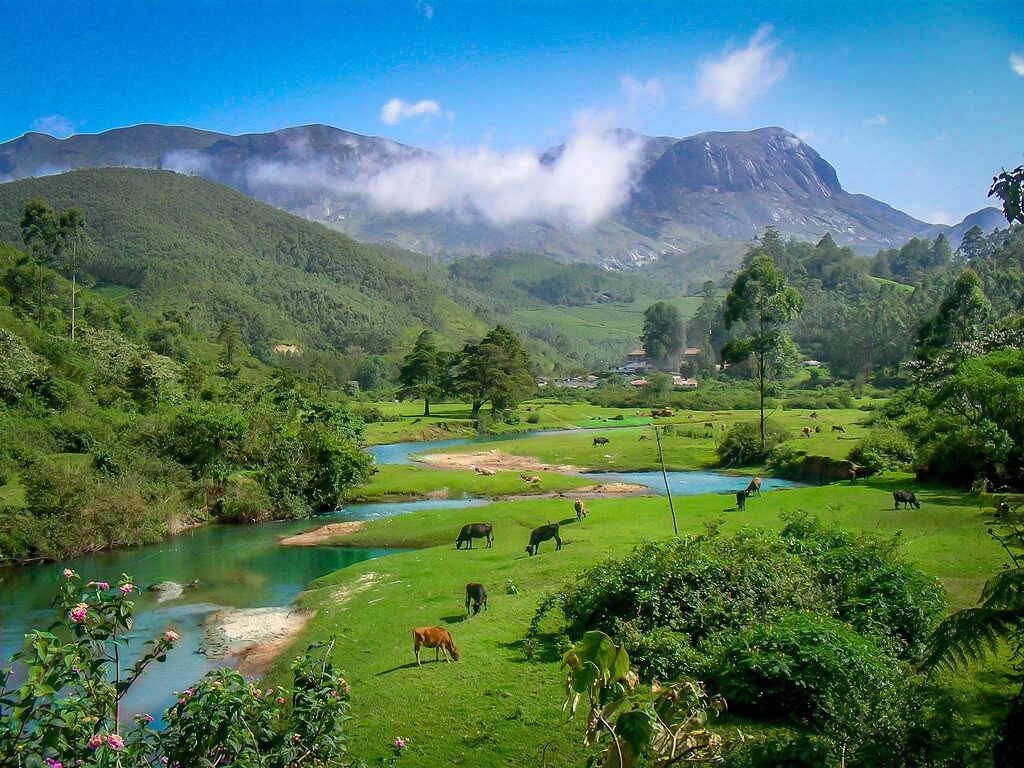 Anamudi Peak Munnar, Kerala