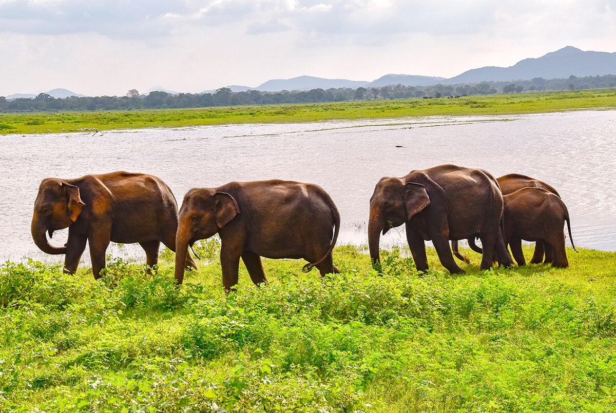 Gal Oya National Park, Sri Lanka