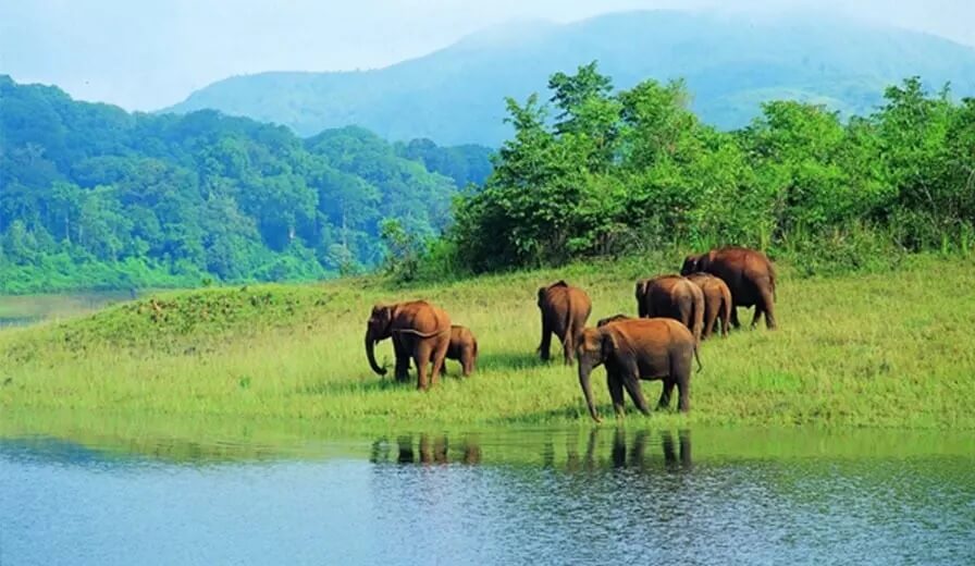 Idukki Wildlife Sanctuary, Kerala