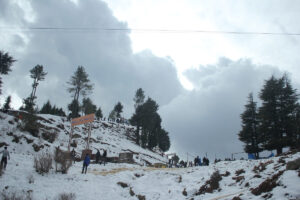 Mahasu Ridge, Kufri, Himachal