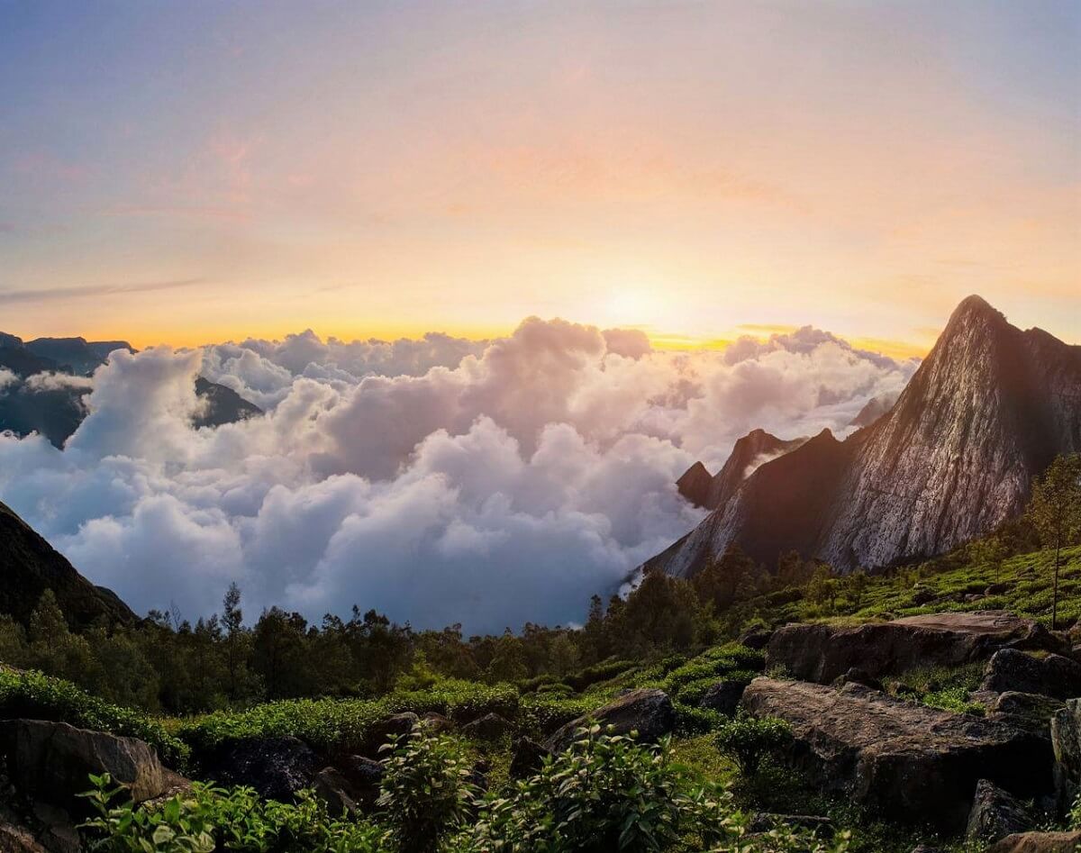 Why Visit Munnar in April?