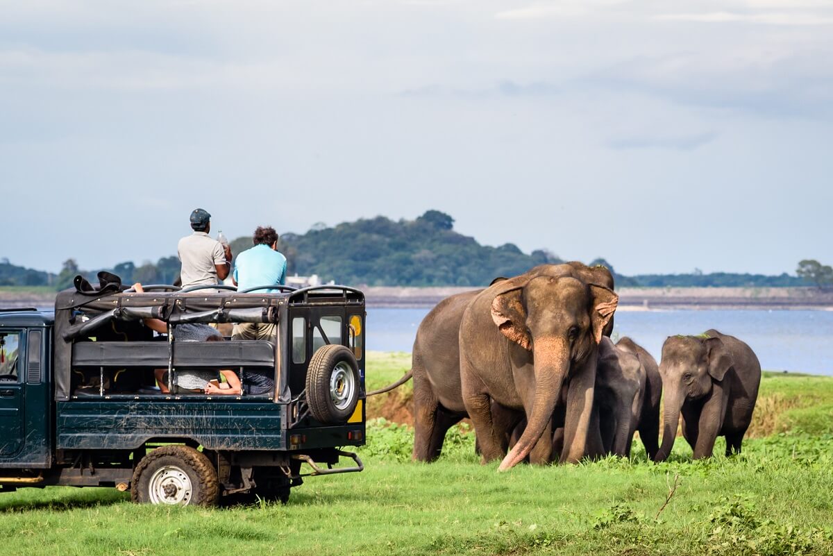 Minneriya National Park, Sri Lanka