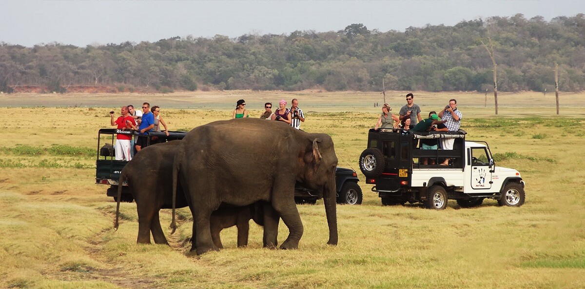 Wasgamuwa National Park, Sri Lanka