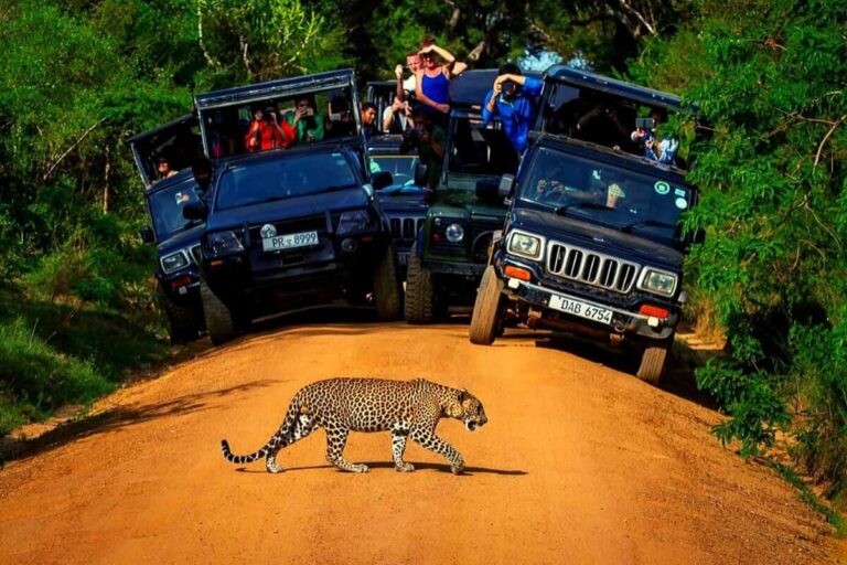Yala National Park, Sri Lanka