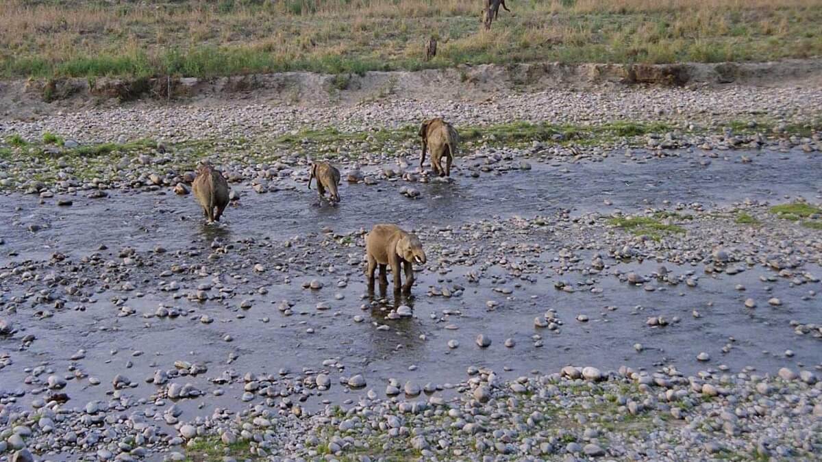 Benog Wildlife Sanctuary, Mussoorie