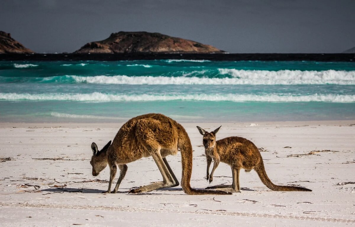 Cape Le Grand National Park, Western Australia