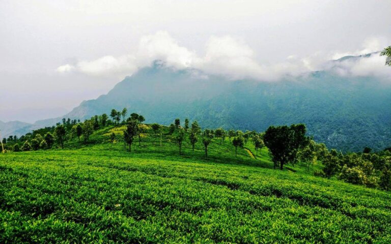 Coonoor (1)