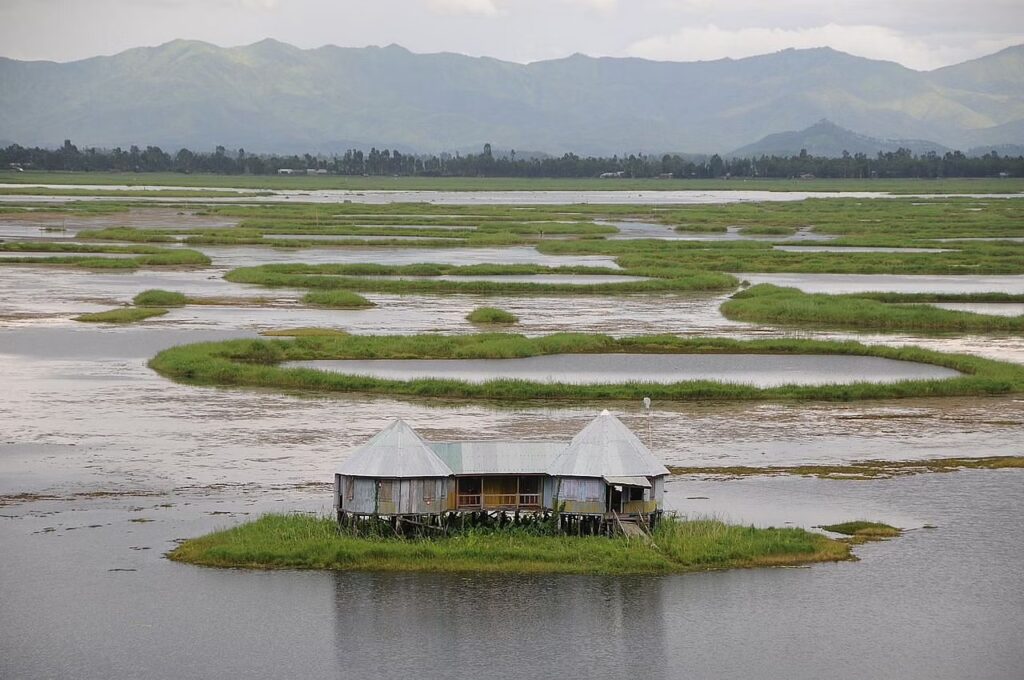 Floating Loktak l Lake, Manipur