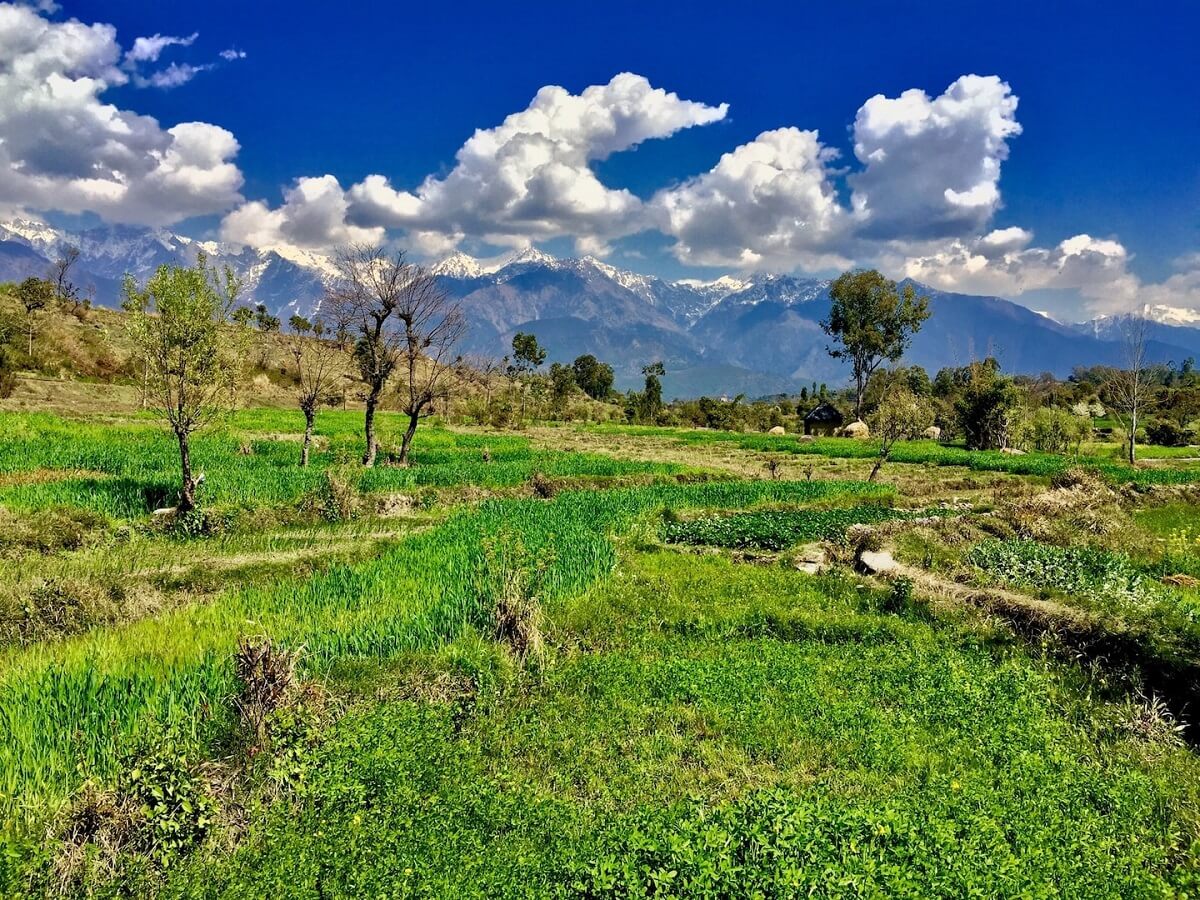 Palampur, Himachal