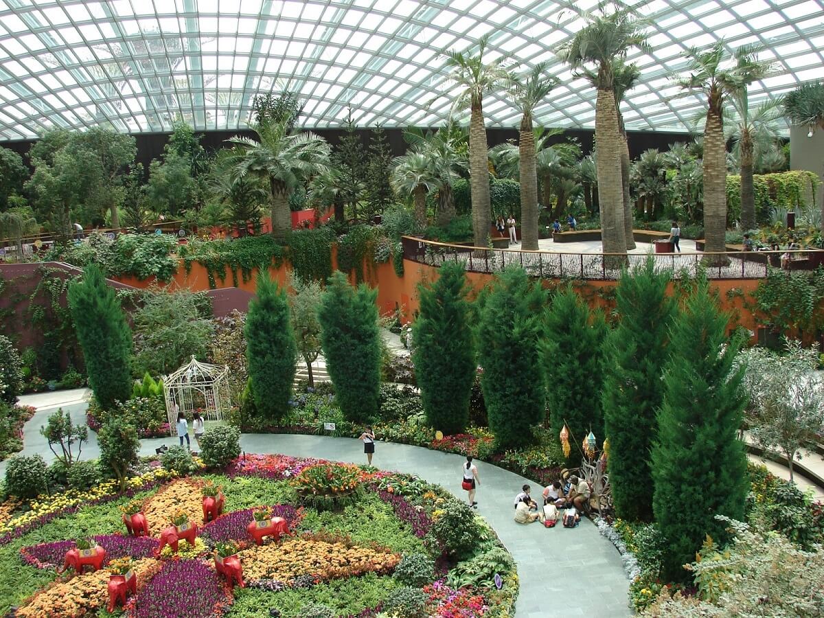Roses at Gardens by the Bay, Singapore