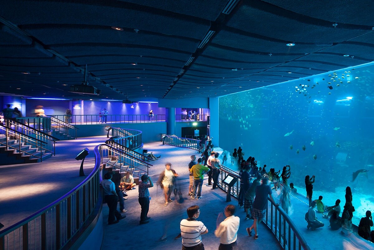 S.E.A. Aquarium, Singapore