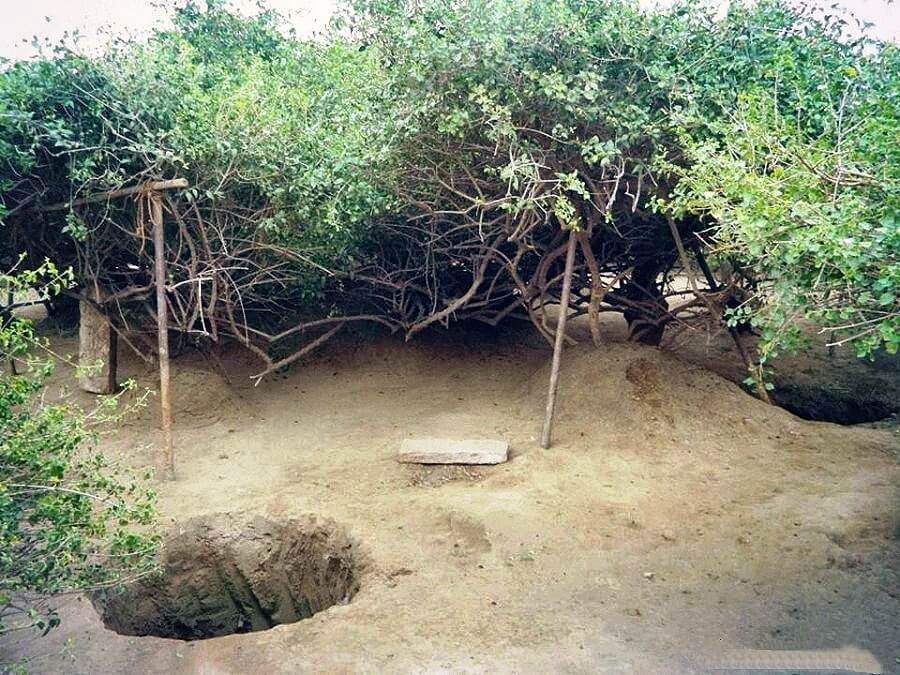 inside view Nidhivan