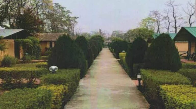 Eco-adventure-tourism-park